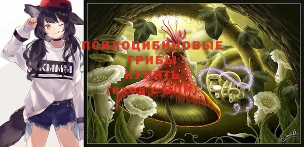 Альфа ПВП Белокуриха