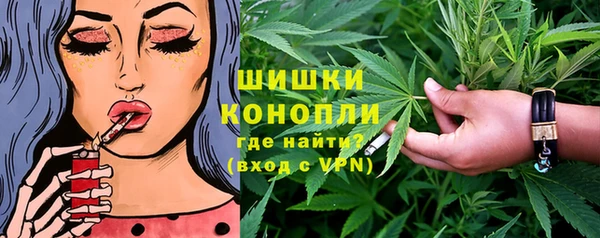 Альфа ПВП Белокуриха