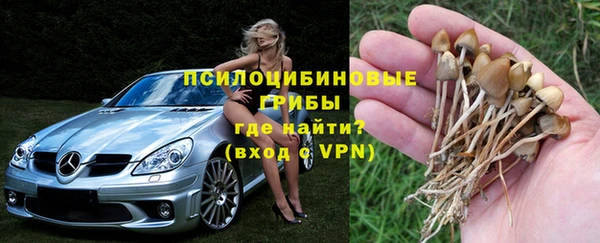 Альфа ПВП Белокуриха